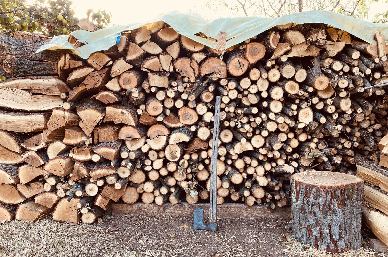 tips-to-find-african-hardwood-suppliers